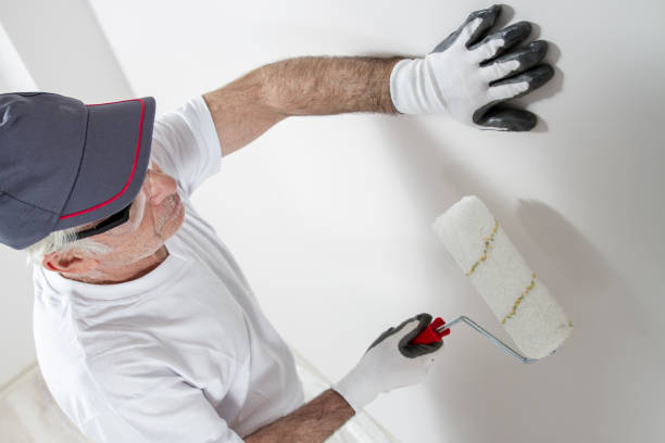 Best Mold Odor Removal Services  in Ahuimanu, HI
