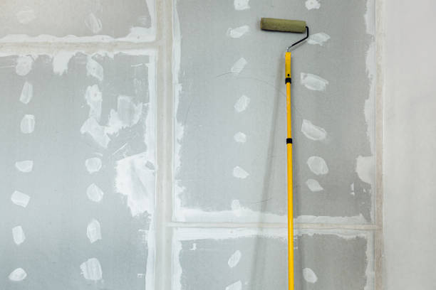 Mold Odor Removal Services in Ahuimanu, HI