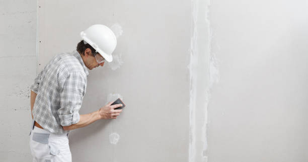 Best Environmental Consulting for Mold Prevention  in Ahuimanu, HI