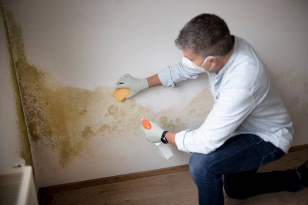 Best Mold Remediation for Healthcare Facilities  in Ahuimanu, HI