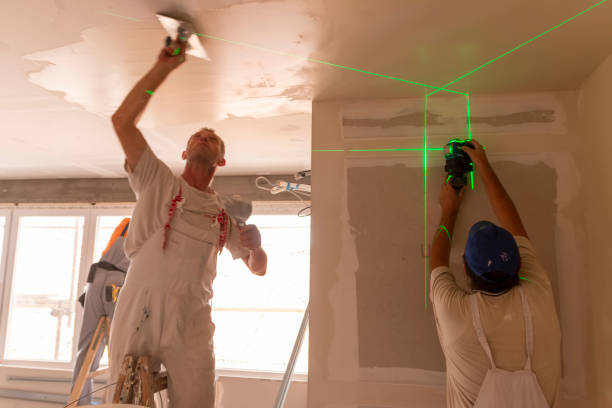 Best Mold Odor Removal Services  in Ahuimanu, HI