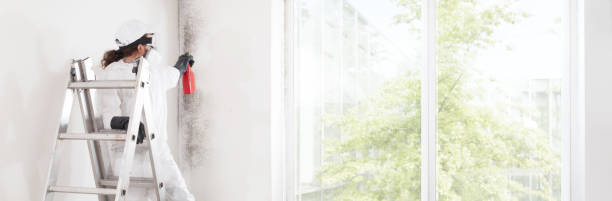 Best Mold-Related Health Consultation  in Ahuimanu, HI